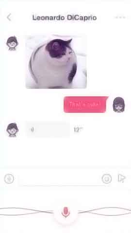 呼死TA